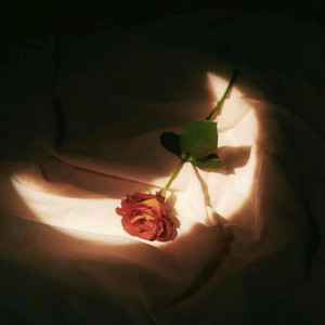 催奶剂,尿在肚子里
