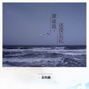 催奶剂,尿在肚子里
